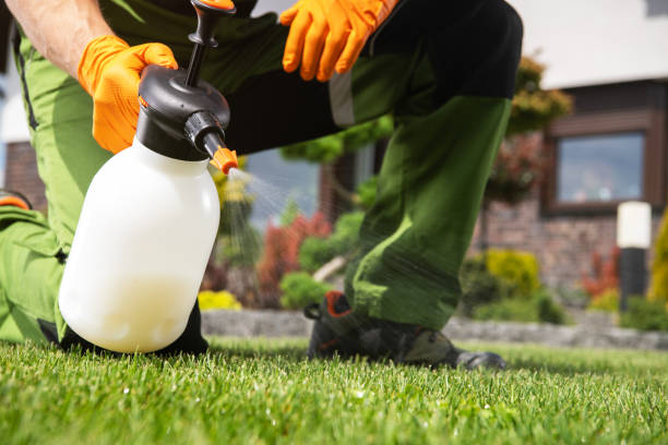 Wildlife Control Services in Brazil, IN